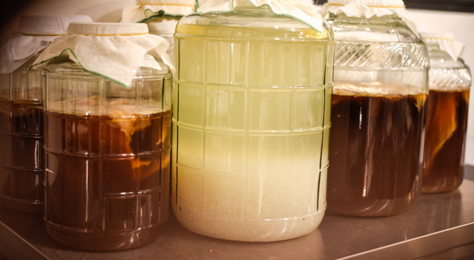 Zregeneruje uszkodzone jelita. Chroni przed toksynami, odchudza