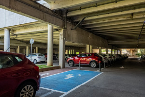 Orzeczenie o niepełnosprawności w stopniu lekkim: te świadczenia i ulgi należą się w 2026 roku