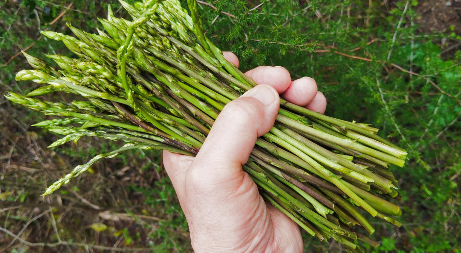 Polacy mają notoryczne niedobory. Skutki: demencja, zmęczenie, anemia