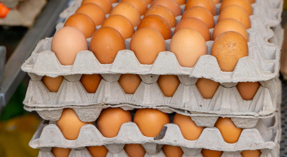 Kontrole jaj w całej Polsce. Już wiadomo: tak oszukują nas producenci