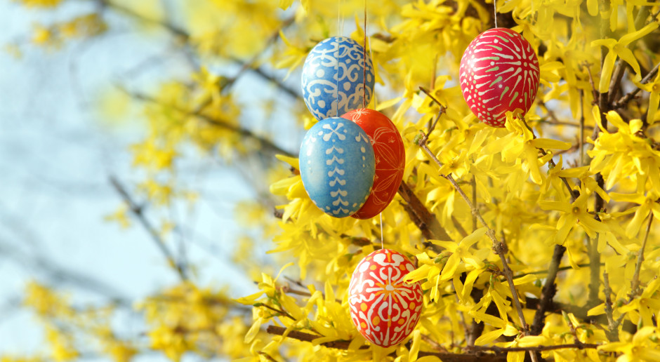 Naturalny rutinoscorbin. Polacy dekorują stoły i koszyczki, a można ją zajadać