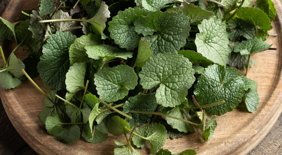 Uderza w cholesterol, obniża ciśnienie, świetnie smakuje. Polacy depczą, a to skarb