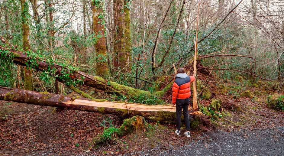 Tragiczny finał wielkanocnej zabawy. Trzy ofiary śmiertelne, winien porywisty wiatr