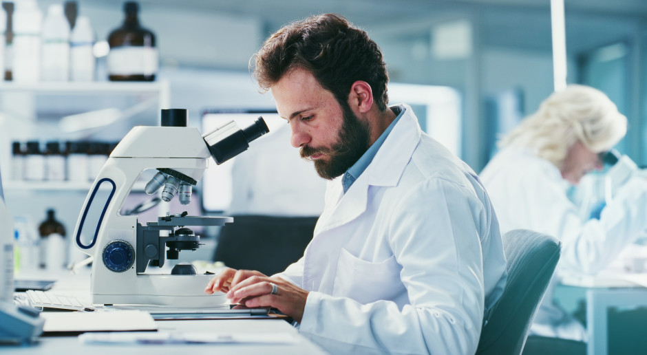 Co zamiast badań na zwierzętach? Polscy naukowcy sterują naczyniami krwionośnymi magnesem