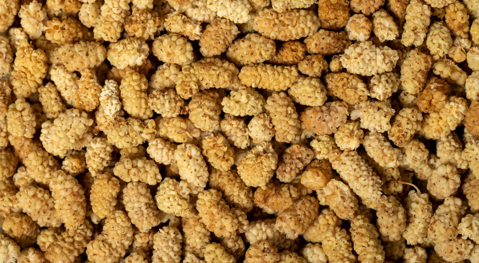 Odchudza i obniża cukier. Niepozorna, a potężna