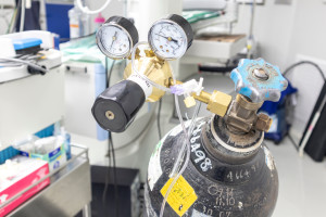 Od dziś zmiany w zestawach przeciwstrząsowych. Lekarze POZ: "Jak je wdrożyć w codziennej praktyce?"