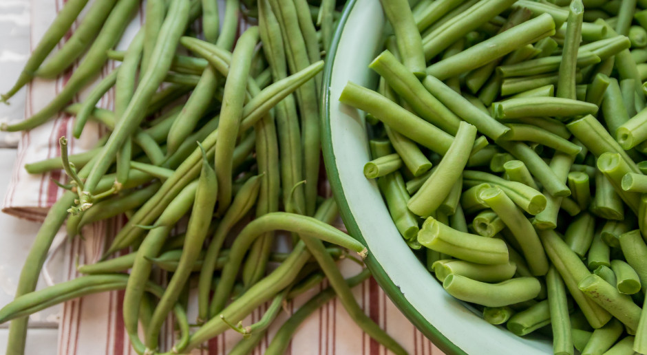 Fasola wygrała ranking na najbardziej trującą roślinę. Decyduje jeden szczegół