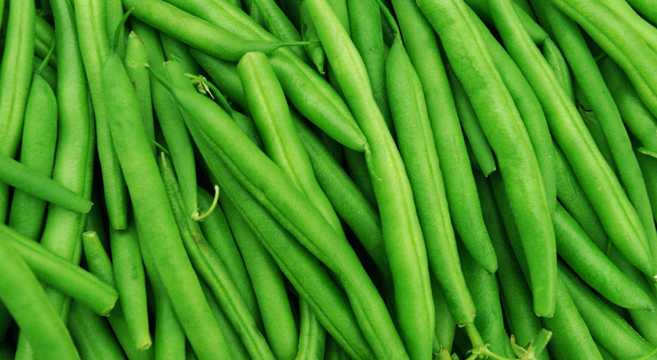 Ranking na najbardziej trującą roślinę 2026: wygrała fasolka. Decyduje 1 szczegół