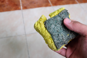 Rak gąbki kuchennej sieje postrach. Onkolog wyjaśnia: to jest prawdziwe ryzyko