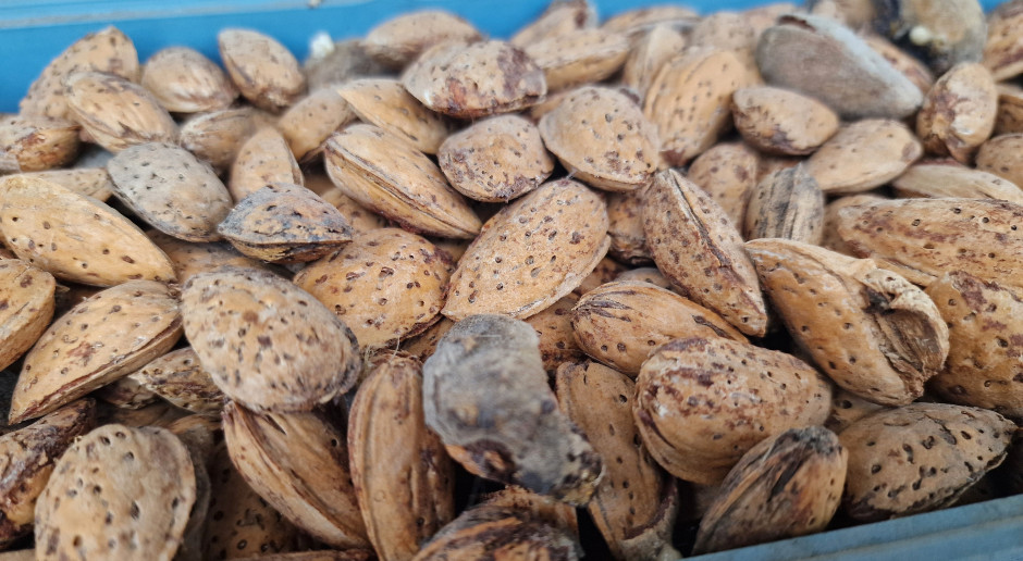 100 zgonów rocznie. Wystarczy kilka sekund, by doszło do tragedii