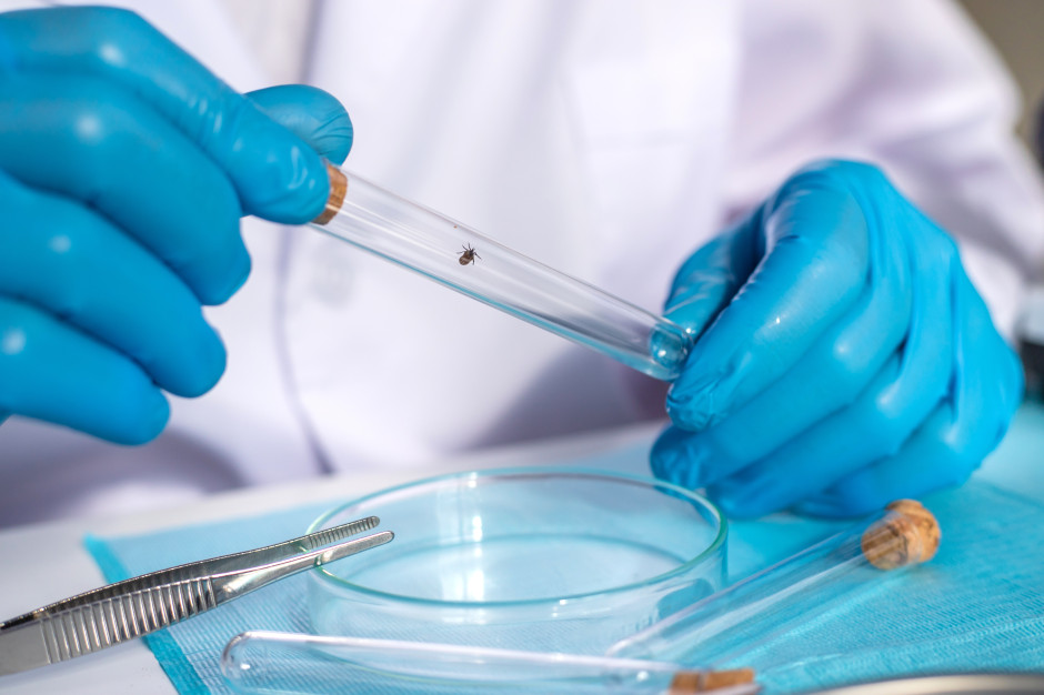 Przełom po 20 latach. Szczepionka na boreliozę ze skutecznością ponad 73 proc.