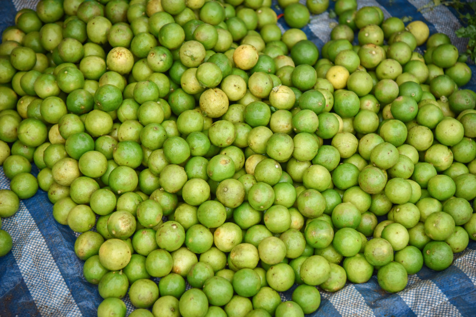 Włoska gwiazda. Może obniżyć cholesterol choćby o 40 proc.