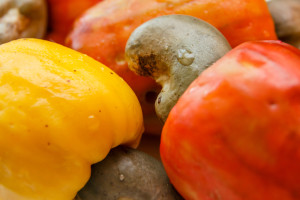 70 zł za kilogram. Najbardziej trująca roślina na świecie, a Polacy jedzą garściami