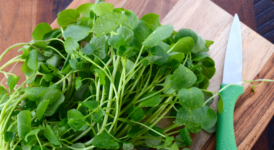 Wybrano najzdrowsze warzywo świata. Nie ma sobie równych