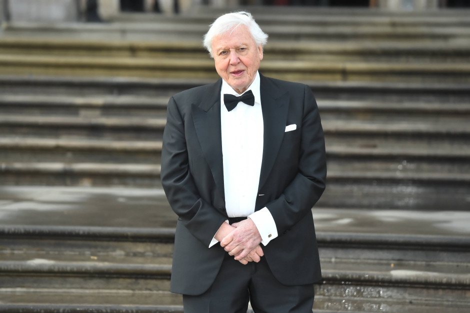 8 maja skończy 100 lat. David Attenborough odstawił dawno temu jeden produkt