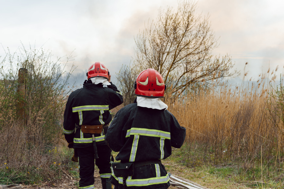 Lasy płoną jak zapałki. Ten błąd najczęściej kończy się pożarem
