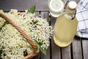Darmowy syrop na przeziębienie i gorączkę. To ostatni dzwonek na zbiory