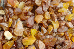 Groźny materiał wyłowiony z Bałtyku. Łatwo pomylić z bursztynem