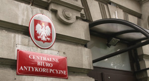 Rządowy program in vitro sprawdzany przez CBA. Sygnały o nieprawidłowościach