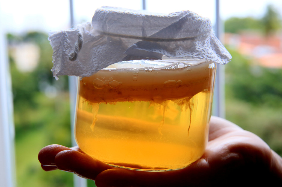 Polacy oszaleli na punkcie chińskiego napoju na jelita. Mało kto wie, czym jest „herbaciany grzyb”