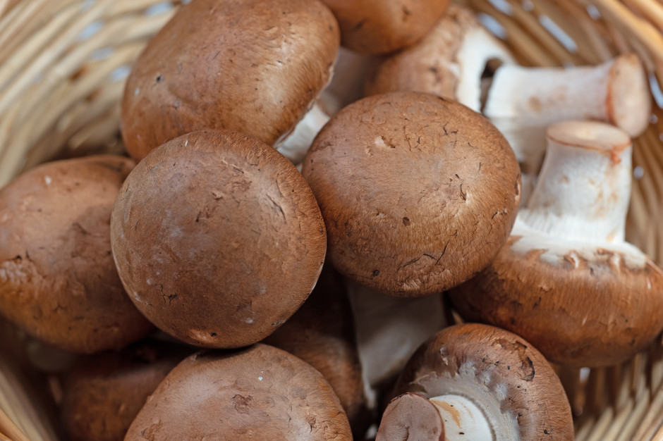 Naturalne paliwo dla mikrobioty. Ekspertka: wybieraj brązowe i jedz 100 g dziennie