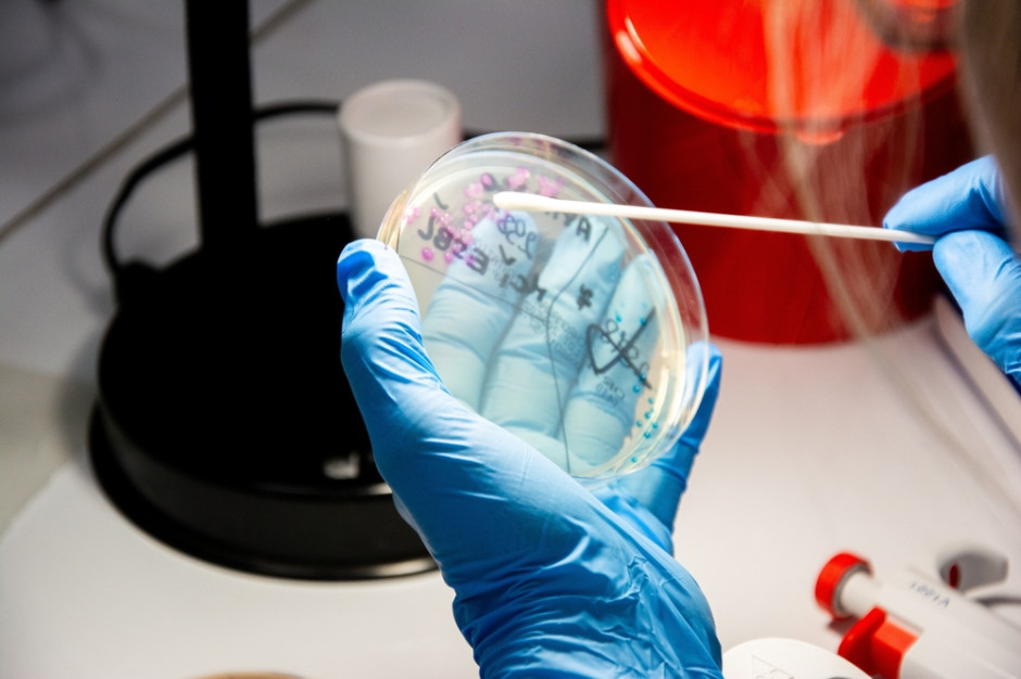 Wystarczyły mutacje probiotyku. Tak zwiększono ochronę przed groźną bakterią