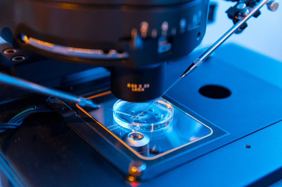 In vitro nie dla singielek. Ministerstwo Zdrowia odpowiadana na interwencję RPO
