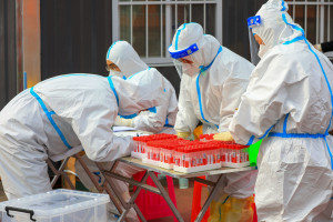 Informacje o dżumie na Syberii. USA: to nie powód do alarmu, ale do czujności