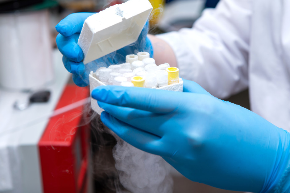 Apelują do polityków o dodatkowe 200 mln zł na in vitro. "Nasz Bocian" ostrzega