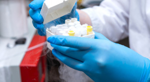 Apelują do polityków o dodatkowe 200 mln zł na in vitro. "Nasz Bocian" ostrzega
