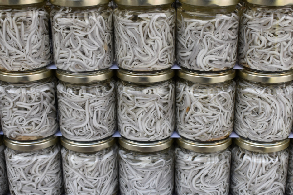 30 tys. zł za kilogram. W Hiszpanii to rarytas bogaty w witaminę D i kwasy omega-3